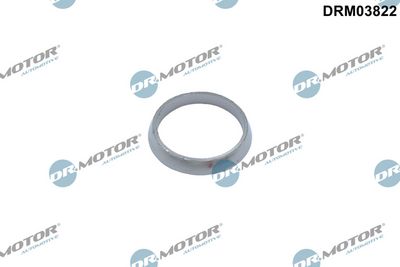 Dr.Motor Automotive Tarpiklis, išleidimo kolektorius