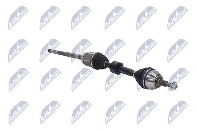 PLANETARA NTY NPWFR107 11