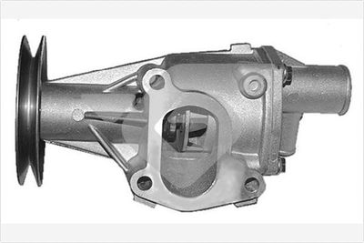 водна помпа, охлаждане на двигателя HUTCHINSON WP303