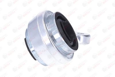 SUPORT TRAPEZ BIRTH 2430 10