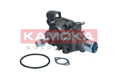 Water Pump, engine cooling T0165