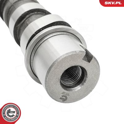 Bregasto vratilo ESEN SKV 80SKV067