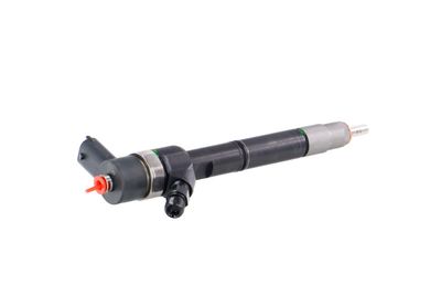 INJECTOR REMANTE 002003001680R 35