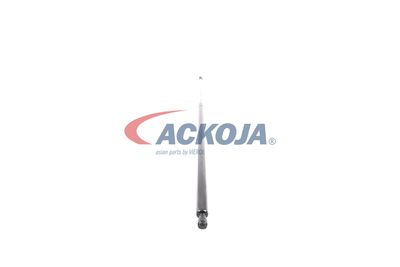 AMORTIZOR PORTBAGAJ ACKOJA A380069 49