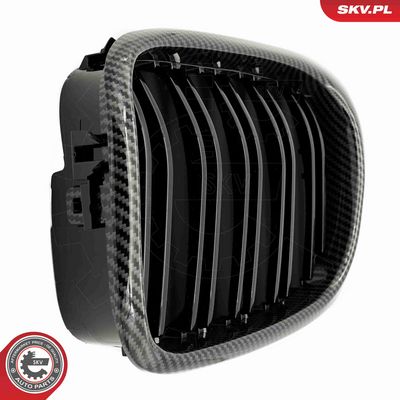 GRILA RADIATOR ESEN SKV 66SKV163 8