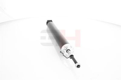 AMORTIZOR GH GH333456 19