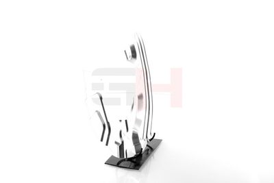 PROTECTIE STROPIRE DISC FRANA GH GH481550V 14