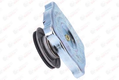 BUSON RADIATOR BIRTH 8087 9