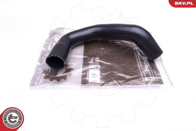 FURTUN EAR SUPRAALIMENTARE