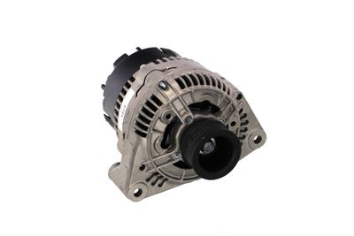 GENERATOR / ALTERNATOR REMANTE 011003000517R 53
