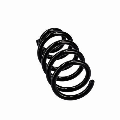 ARC SPIRAL EIBACH R10603 24