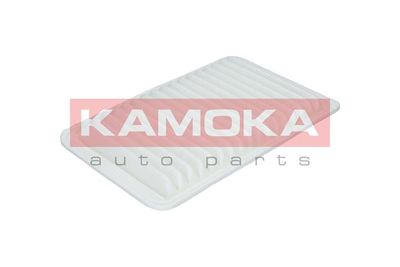 Air Filter F211801