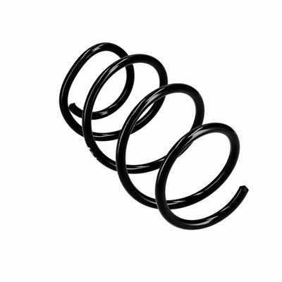 ARC SPIRAL EIBACH R10723 11