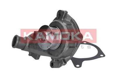 Water Pump, engine cooling T0140