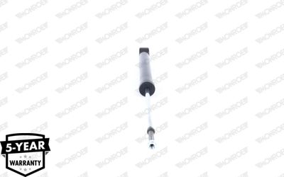 Shock Absorber G1319