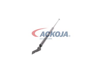 AMORTIZOR PORTBAGAJ ACKOJA A520092 52