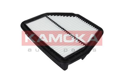 Air Filter F226901