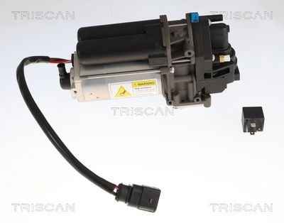 компресор, пневматична система TRISCAN 8725 81101