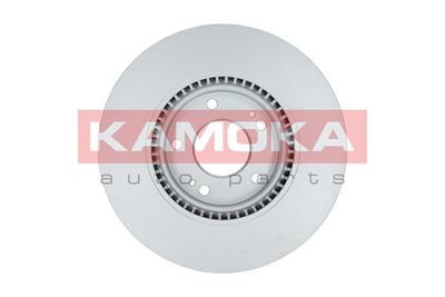 Brake Disc 1031070