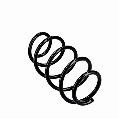 ARC SPIRAL EIBACH R10288 11
