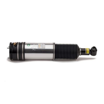 LUFTFEDERBEIN Arnott AS2981 3