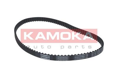 Timing Belt 7000030