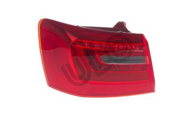 Tail Light Assembly 1096001