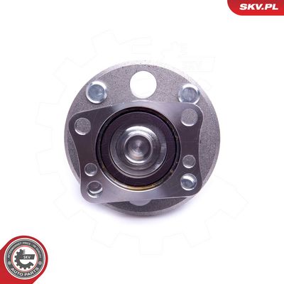SET RULMENT ROATA ESEN SKV 29SKV425 1