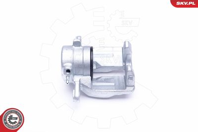 Brake Caliper 44SKV142