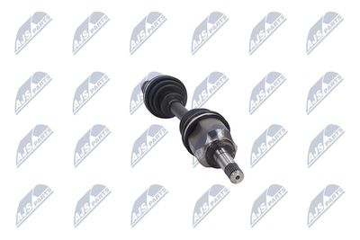 PLANETARA NTY NPWFT047 31