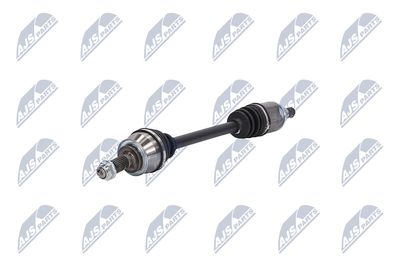 PLANETARA NTY NPWBM119 19