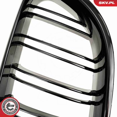 GRILA RADIATOR ESEN SKV 66SKV206 9