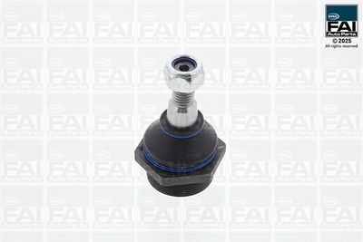 FAI AutoParts Šarnyras / girgždukas