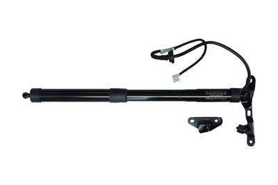 Galinių durų elektros variklis