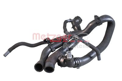 Radiator Hose 2421560