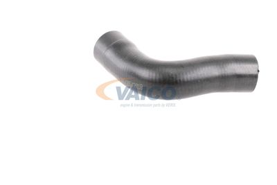 KüHLERSCHLAUCH VAICO V401343 43