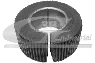 BUCSA ARBORE DE DIRECTIE