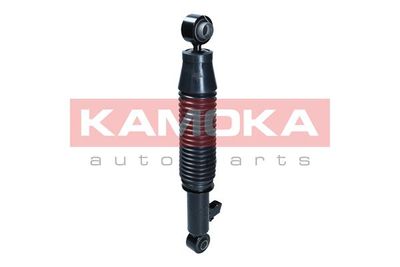 Shock Absorber 2001211