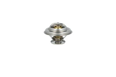 TERMOSTAT LICHID RACIRE NRF 725071 7
