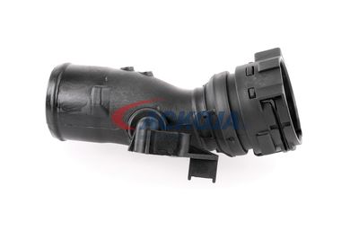 FURTUN EAR SUPRAALIMENTARE ACKOJA A380296 37