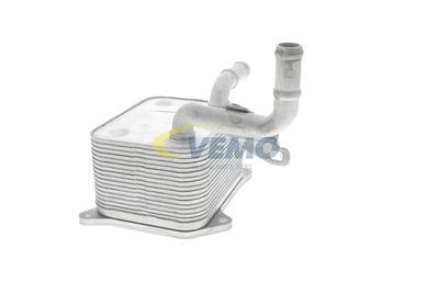 RADIATOR ULEI ULEI MOTOR VEMO V15600013 50