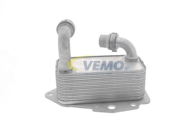 ÖLKüHLER MOTORöL VEMO V40602100 36