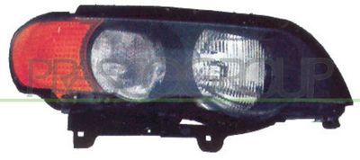 PRASCO BM8204903 Основная фара  для BMW X5 (Бмв X5)