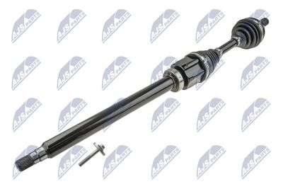 NTY Pusašis
