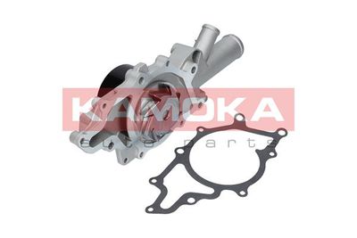 Water Pump, engine cooling T0196