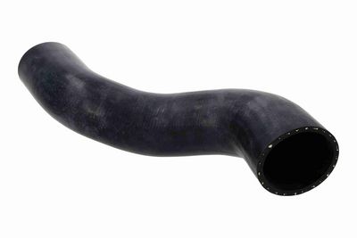 FURTUN EAR SUPRAALIMENTARE ACKOJA A370122 2