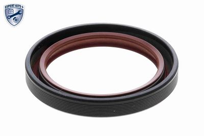 CHIT LANT DE DISTRIBUTIE VAICO V4010003 10