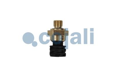 Vorschau Sensor, Öldruck