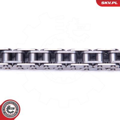 CHIT LANT DE DISTRIBUTIE ESEN SKV 21SKV168 1