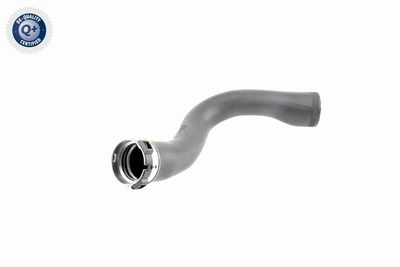 LADELUFTSCHLAUCH VAICO V401364 8